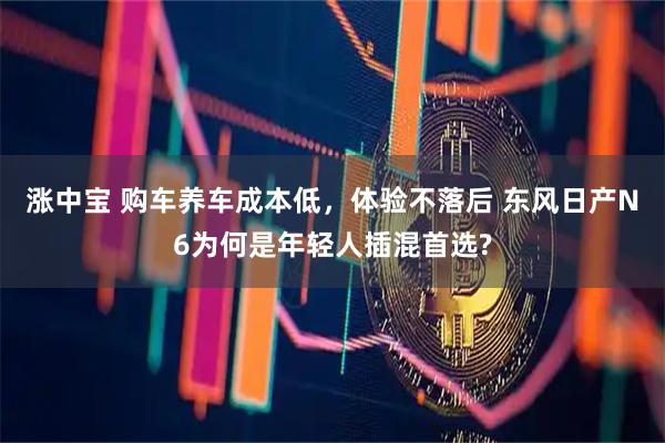 涨中宝 购车养车成本低，体验不落后 东风日产N6为何是年轻人插混首选?